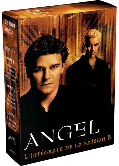 Angel - Saison 5 - DVD