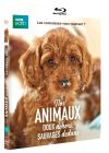 Nos animaux : Doux dehors, sauvages dedans - Blu-ray